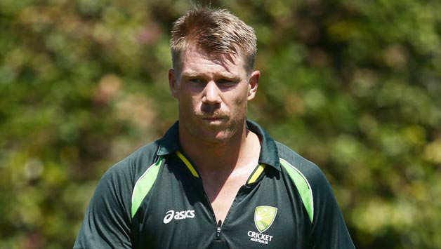 David Warner, Australia should go about their own business