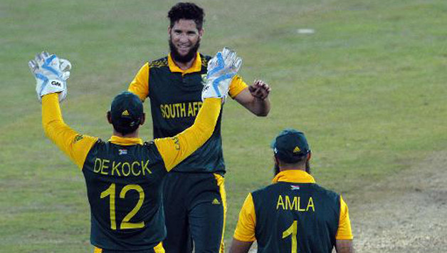 Russell Domingo insisted that Wayne Parnell (above) is a hard-working guy © AFP