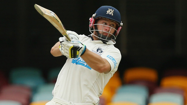 Mattew Wade led the Victorian Bushrangers to victory in the Sheffield Shield 2014-15 © Getty Images
