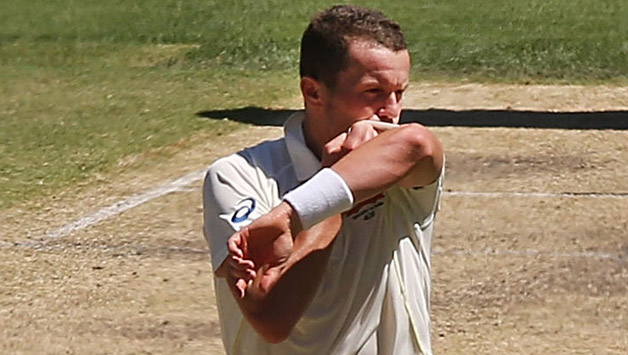 Peter Siddle has not been in the scheme of things much for Australia © Getty Images
