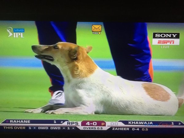 Photo courtesy: Sriram Varma on Twitter