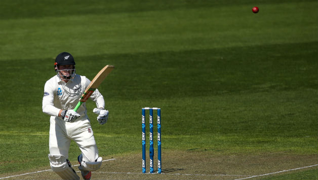 Henry Nicholls hits his fifty Test 50