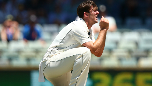 Marcus Stoinis has been called as replacement for the remaining two Tests against India © Getty Images