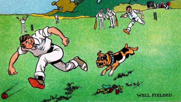 Unless you are concerned about ball tampering, canine fielders can be quite handy © Getty Images
