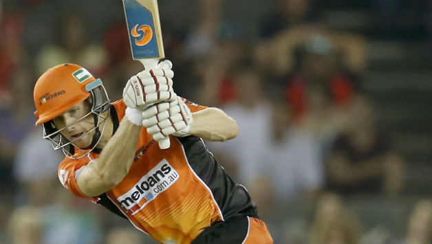 Adam Voges led Perth Scorchers to two BBL titles © Getty Images