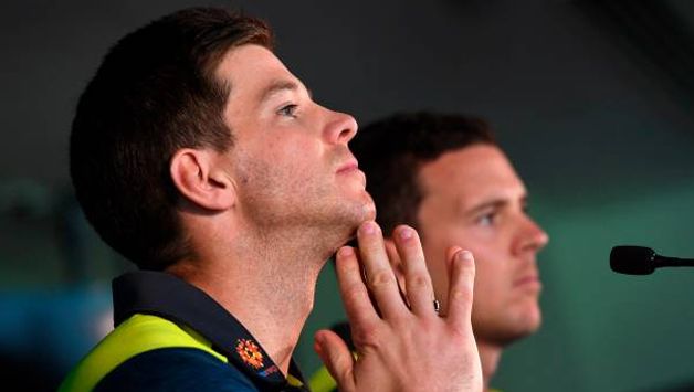 tim paine